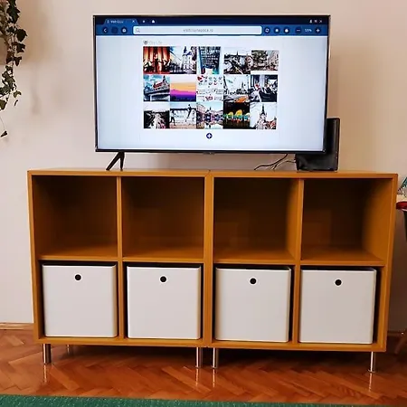 Rex Nest - Ultracentral Studio Cluj-Napoca
