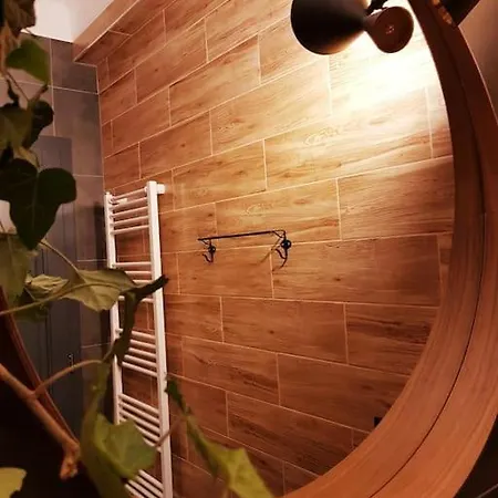 Rex Nest - Ultracentral Studio *